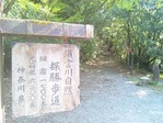 箱根の石畳の道