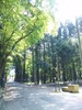 田村神社の一の鳥居