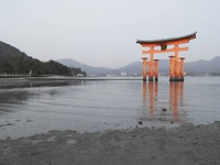 厳島神社の大鳥居１