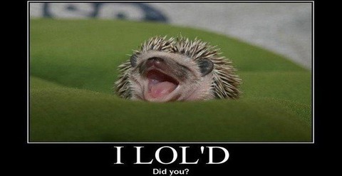 lol-621x320