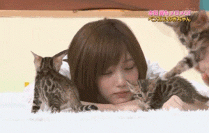 Lol 本田翼にやってもらえよ ガチゲーマーなんだろ Lol 2chまとめ Shaco速報 Lol 本田翼にやってもらえよ ガチゲーマーなんだろ Lol 2chまとめ Shaco速報