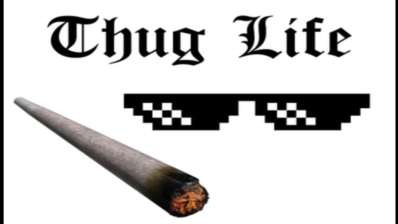 動画 懐かしの名作多め たまに見たくなるthug Life Compilation Lol 2chまとめ Shaco速報