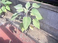 7715b957.jpg