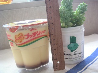 8438848d.jpg