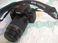 f4e5a2cc.jpg