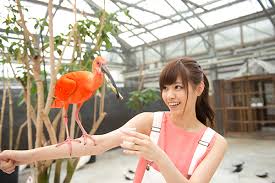 nanase18