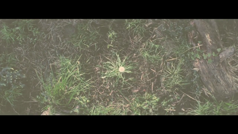 vlcsnap-2014-03-07-16h47m20s46