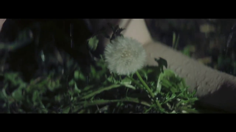 vlcsnap-2014-03-07-17h02m13s13