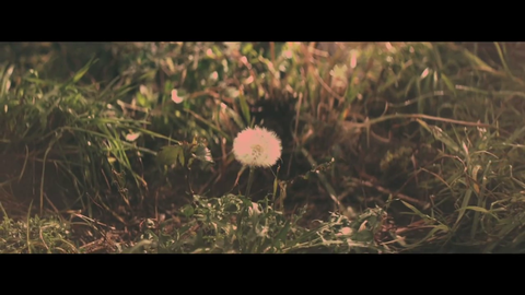 vlcsnap-2014-03-07-17h06m17s221