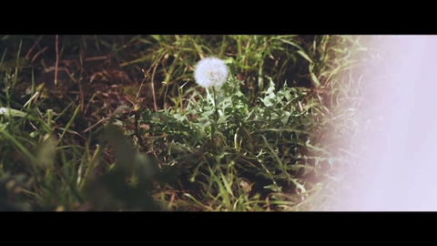 vlcsnap-2014-03-07-16h57m51s230