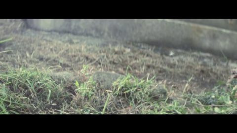 vlcsnap-2014-03-07-17h16m05s150