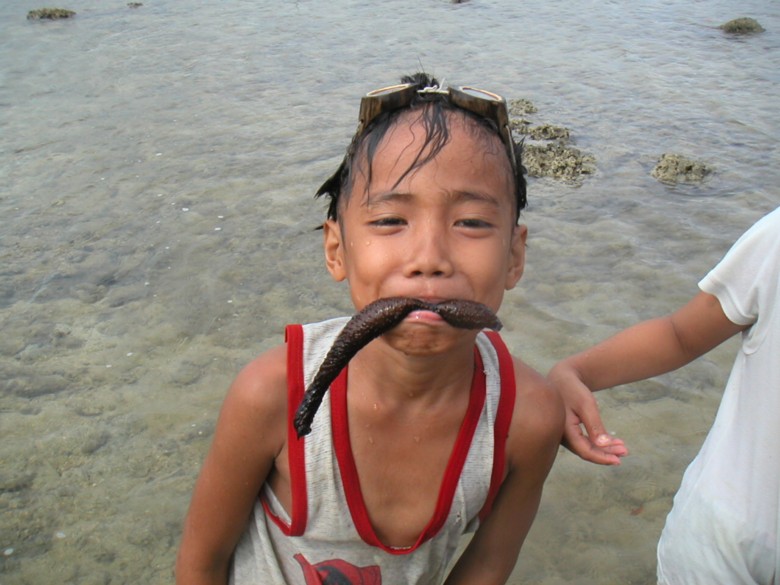 無気味なナマコ フィリピン ミンダナオ 島に暮らす 無気味なナマコ フィリピン ミンダナオ 島に暮らす