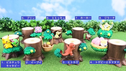 ポケモンの森２