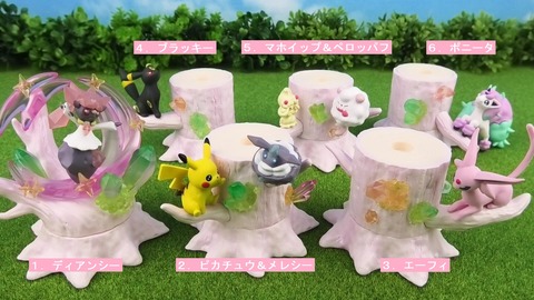 ポケモンの森６