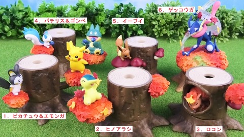 ポケモンの森５