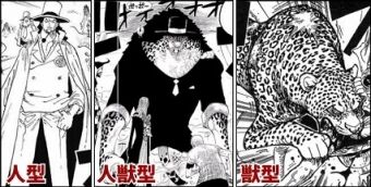 ワンピース オニ丸 狐 ヒトヒトの実なのになぜチョッパーのように毛深い人型にならない アニメ ゲーム 最速情報 ドンドン ワンピース オニ丸 狐 ヒトヒトの実なのになぜチョッパーのように毛深い人型にならない アニメ ゲーム 最速情報 ドンドン