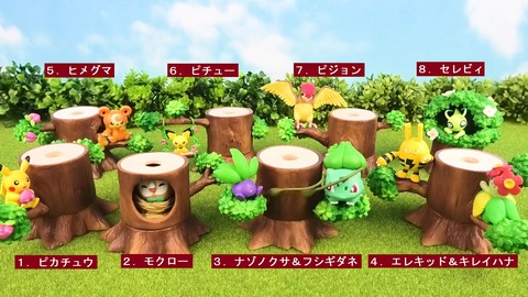 ポケモンの森