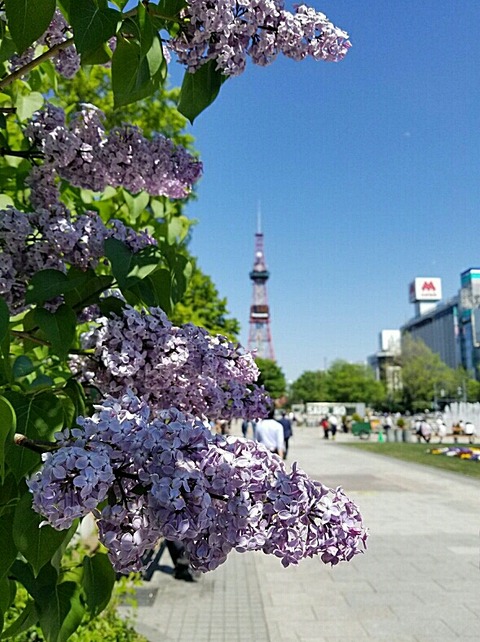 Screenshot_2019-05-18-19-41-20_20190518194505053