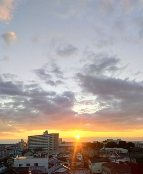 P_20201113_065023_vHDR_On_1