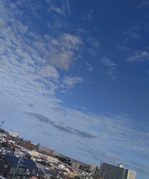 P_20201105_145859_1