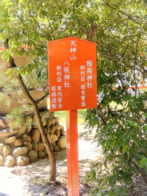 IMG_2022-08-08-10-35-45-526