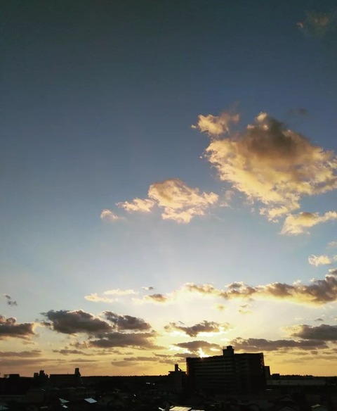 Screenshot_20211111-010259_1