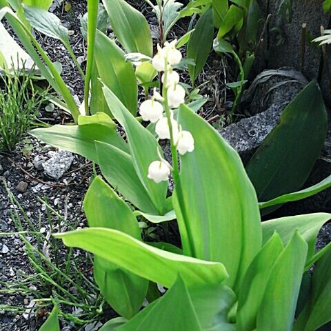 20190523_164452