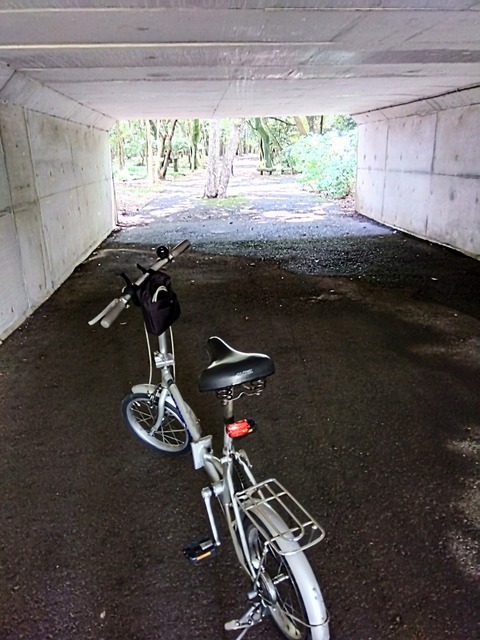 IMG_2022-05-22-10-42-03-744~2
