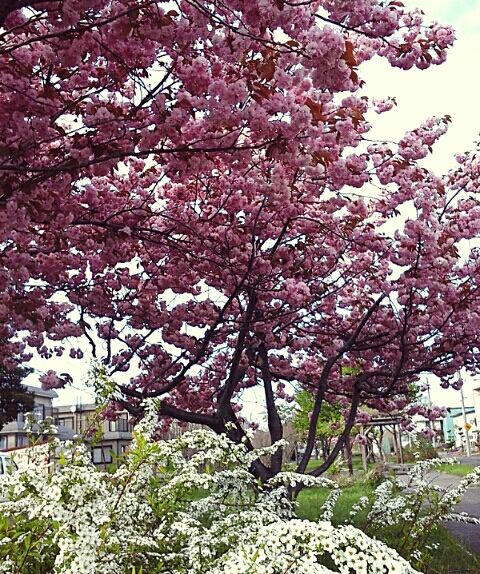 20190514_163747