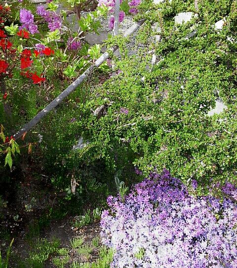 20190515_150239