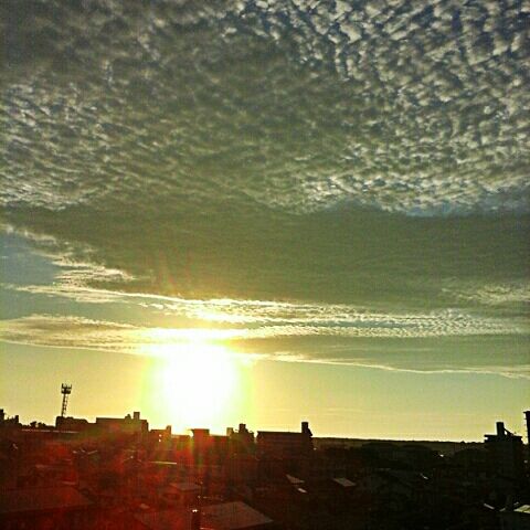 20190730_055246