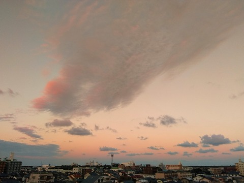 P_20211031_172244_EFF_1