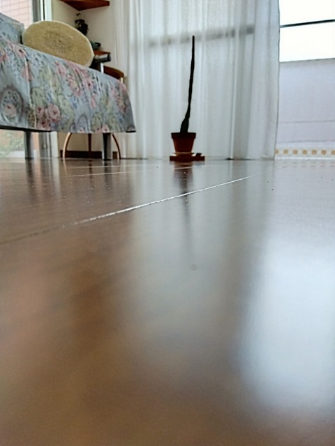 IMG_2022-05-28-08-47-58-174~2