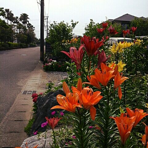 20190610_154617