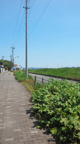 d931b1c5.jpg