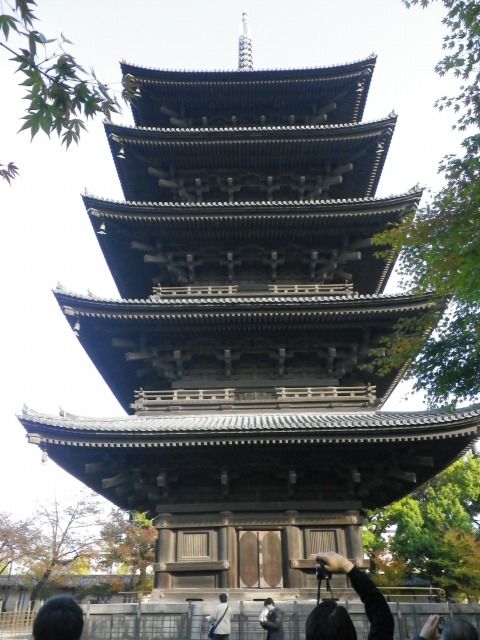 IMGP1189