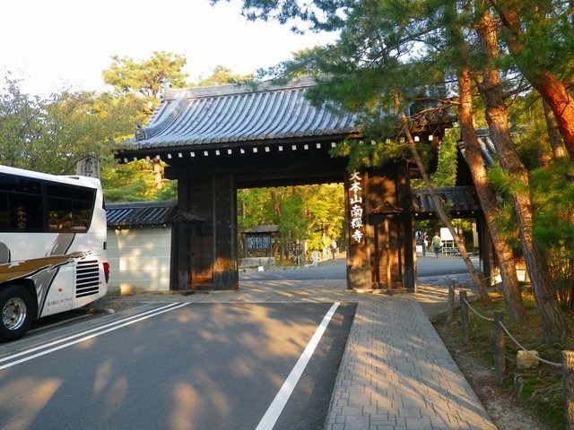 IMGP5701