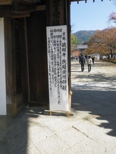 IMGP1122