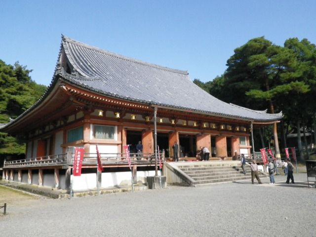 IMGP1134