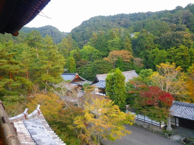三門 (4)