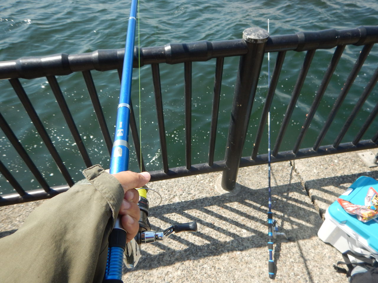 暁ふ頭公園と若洲海浜公園と京浜島つばさ公園で釣りをしてきた 孤独のソロボッチ 暁ふ頭公園と若洲海浜公園と京浜島つばさ公園で釣りをしてきた 孤独のソロボッチ