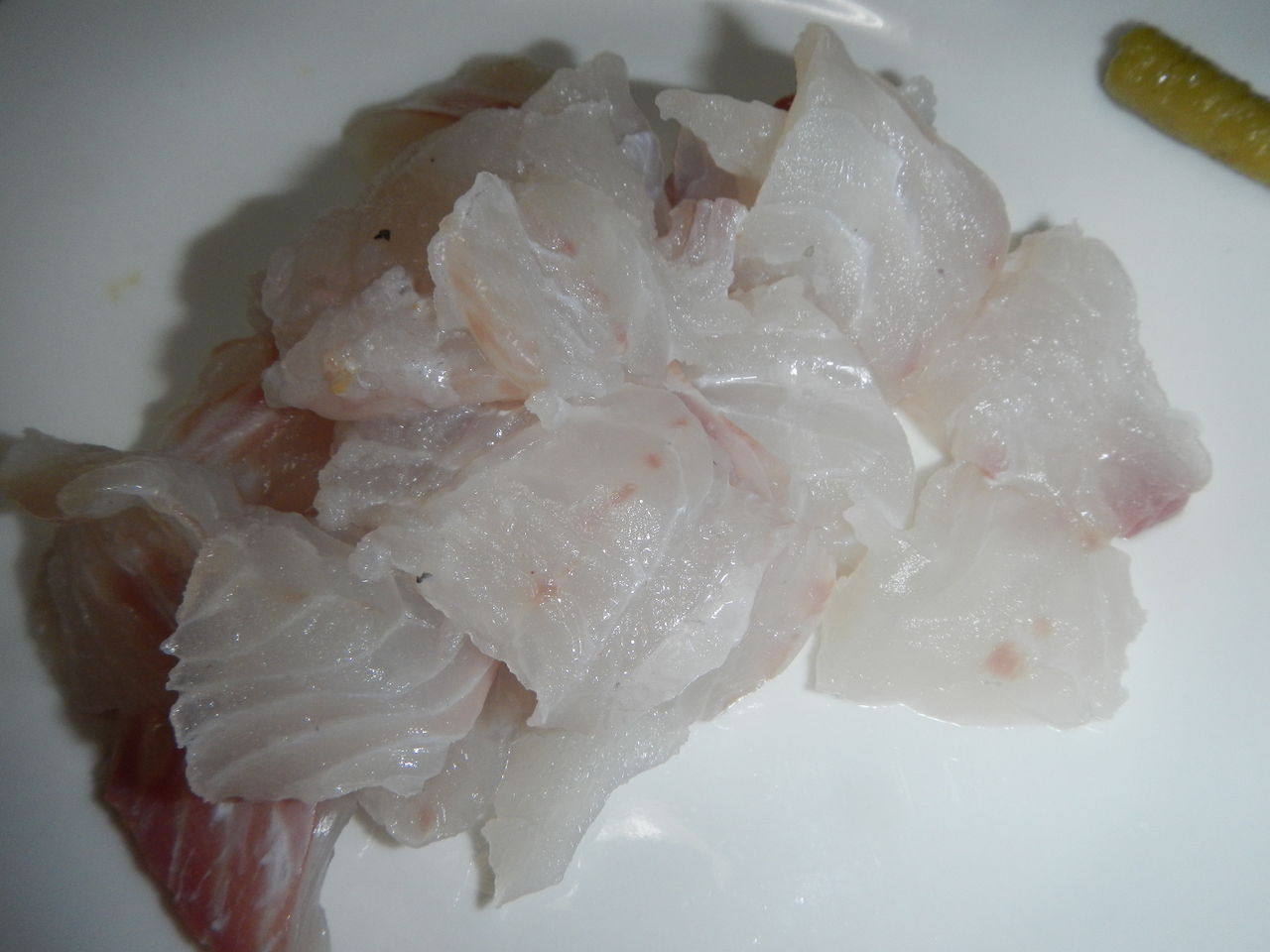 仕事をサクッと切り上げて 城南島海浜公園で釣りをしてきた 孤独のソロボッチ