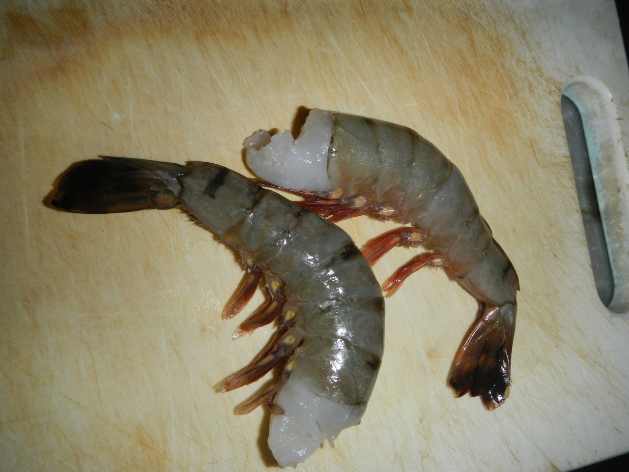 準備編 初心者が大井ふ頭中央海浜公園でハゼ釣りをしてみよう その2 孤独のソロボッチ