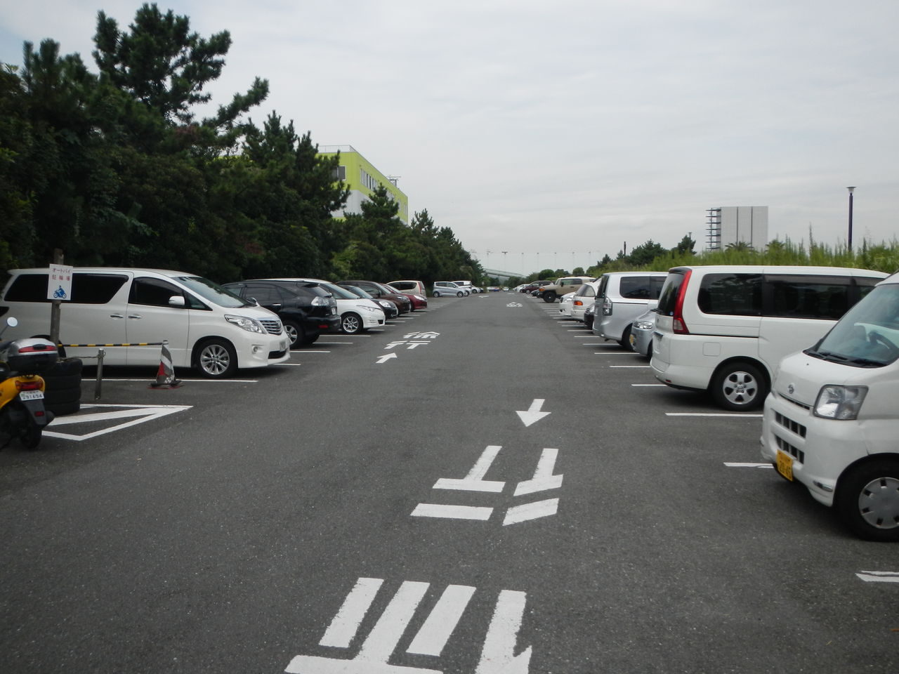若洲海浜公園と暁ふ頭公園で釣りをしてきた 孤独のソロボッチ 若洲海浜公園と暁ふ頭公園で釣りをしてきた 孤独のソロボッチ