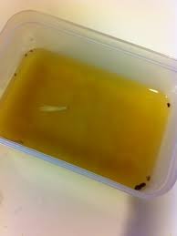 長編にちゃんまとめ 修羅場 浮気 1 2メシマズの嫁にキレた 俺 こんなもん食えるか 嫁 作ってやるだけありがたいと思え こんなカラフルでマズイ料理が食えるか 嫁がわざとマズいメシを作ってた理由に衝撃 長編にちゃんまとめ 修羅場 浮気 1 2メシマズの嫁にキレた 俺 こんなもん食えるか 嫁 作ってやるだけありがたいと思え こんなカラフルでマズイ料理が食えるか 嫁がわざとマズいメシを作ってた理由に衝撃