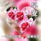IMG-20211128-WA0026
