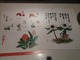 IMG_20211116_171920