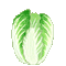 hakusai_kun