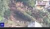 IMG-20200712-WA0007
