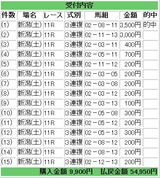 1119nii11